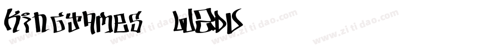 Kingjames-WZDV字体转换