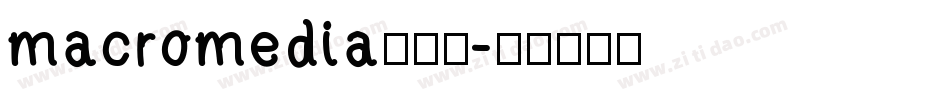 macromedia转换器字体转换