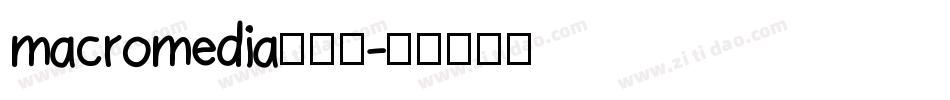 macromedia转换器字体转换