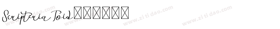 ScripteriaToid字体转换