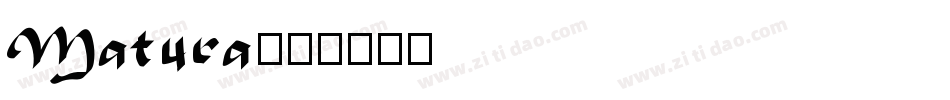 Matura字体转换