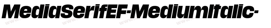 MediaSerifEF-MediumItalic字体转换