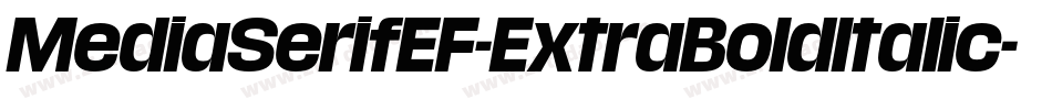 MediaSerifEF-ExtraBoldItalic字体转换