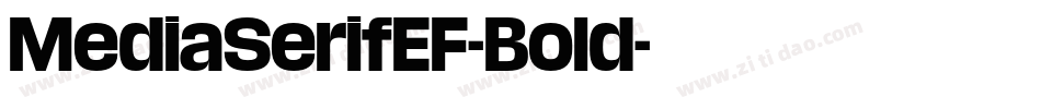 MediaSerifEF-Bold字体转换