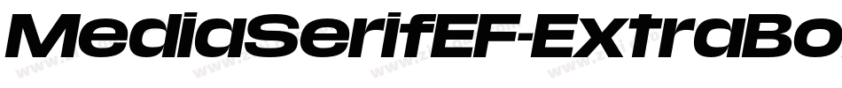 MediaSerifEF-ExtraBoldItalic字体转换