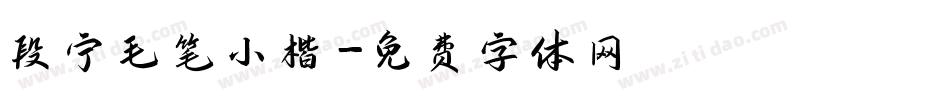 段宁毛笔小楷字体转换