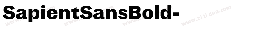 SapientSansBold字体转换