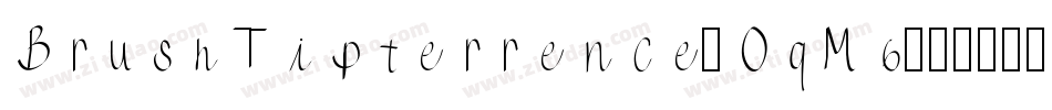 BrushTipterrence-OqM6字体转换