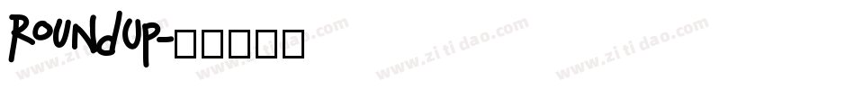 RoundUp字体转换