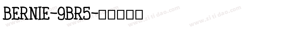 Bernie-9Br5字体转换