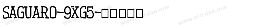 Saguaro-9xG5字体转换