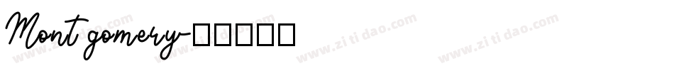 Montgomery字体转换