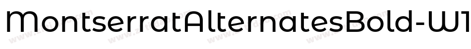 MontserratAlternatesBold-W1qO字体转换