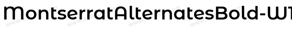 MontserratAlternatesBold-W1qO字体转换
