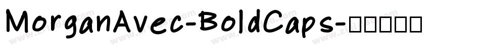 MorganAvec-BoldCaps字体转换