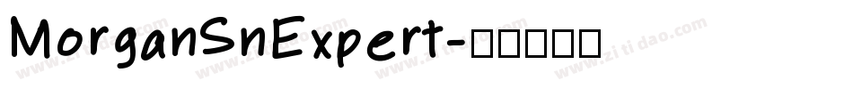 MorganSnExpert字体转换