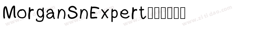 MorganSnExpert字体转换