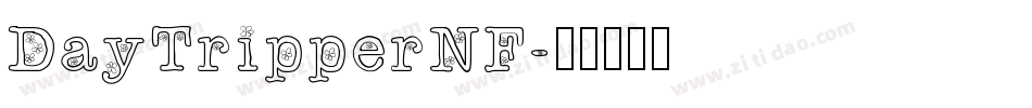 DayTripperNF字体转换