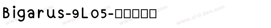 Bigarus-9L05字体转换