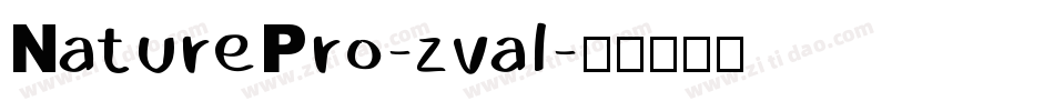 NaturePro-zval字体转换