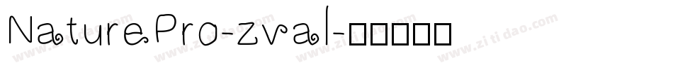 NaturePro-zval字体转换
