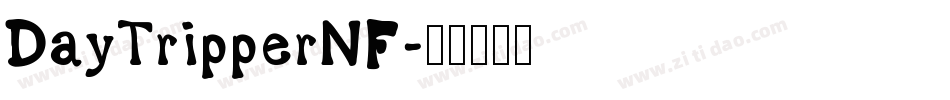 DayTripperNF字体转换