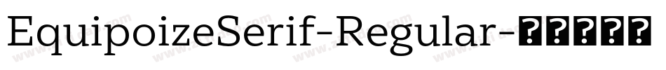 EquipoizeSerif-Regular字体转换