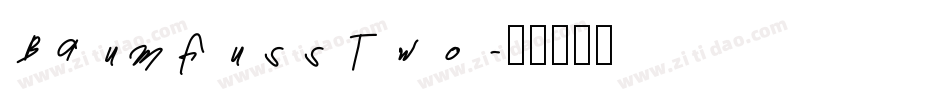 BaumfussTwo字体转换
