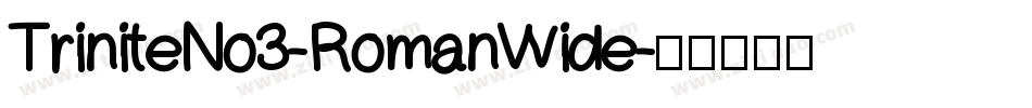 TriniteNo3-RomanWide字体转换