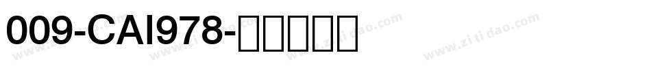 009-CAI978字体转换