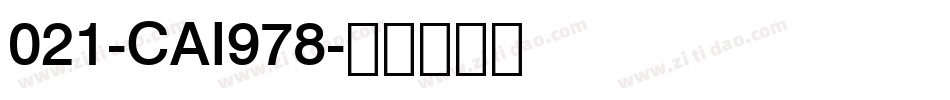 021-CAI978字体转换