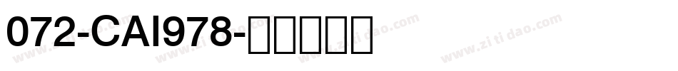 072-CAI978字体转换