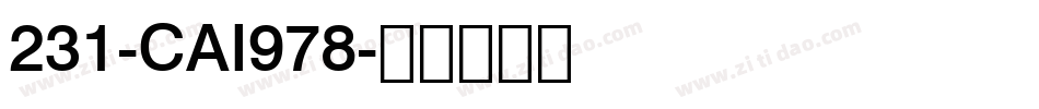 231-CAI978字体转换