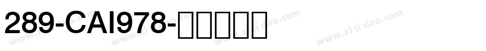 289-CAI978字体转换