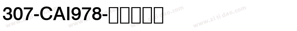 307-CAI978字体转换