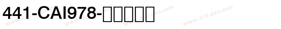 441-CAI978字体转换