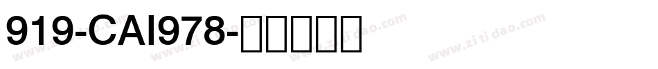 919-CAI978字体转换