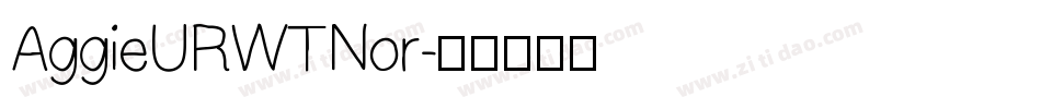 AggieURWTNor字体转换