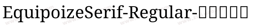 EquipoizeSerif-Regular字体转换