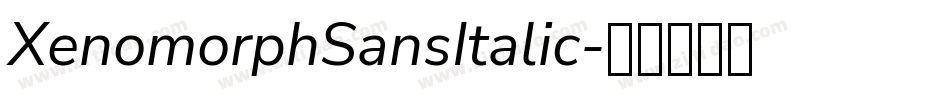 XenomorphSansItalic字体转换