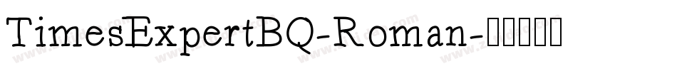 TimesExpertBQ-Roman字体转换