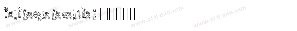 turtlemodelaserital字体转换
