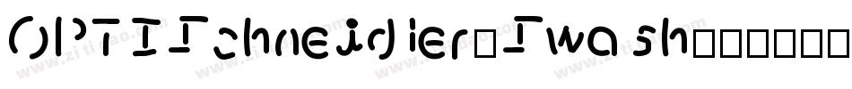 OPTISchneidler-Swash字体转换