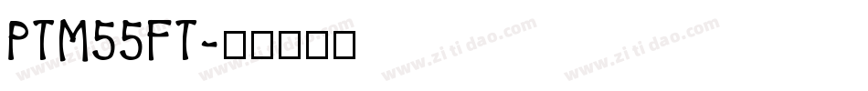 PTM55FT字体转换