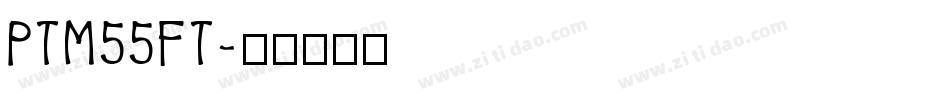 PTM55FT字体转换