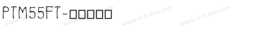 PTM55FT字体转换