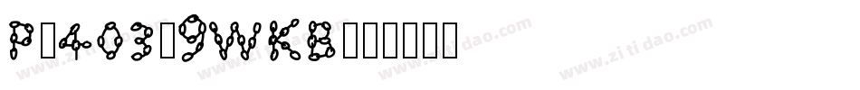 Pw403-9WKB字体转换