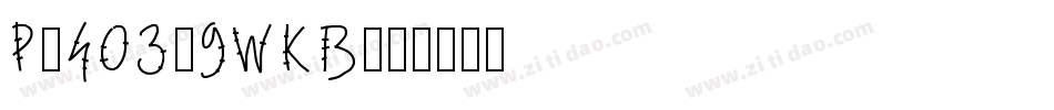 Pw403-9WKB字体转换
