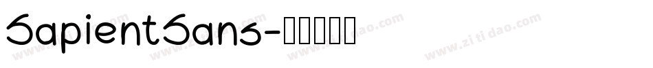 SapientSans字体转换
