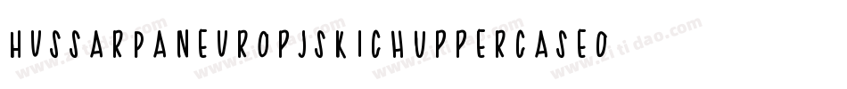 HussarPaneuropjskichUppercaseOblique-PLrm字体转换